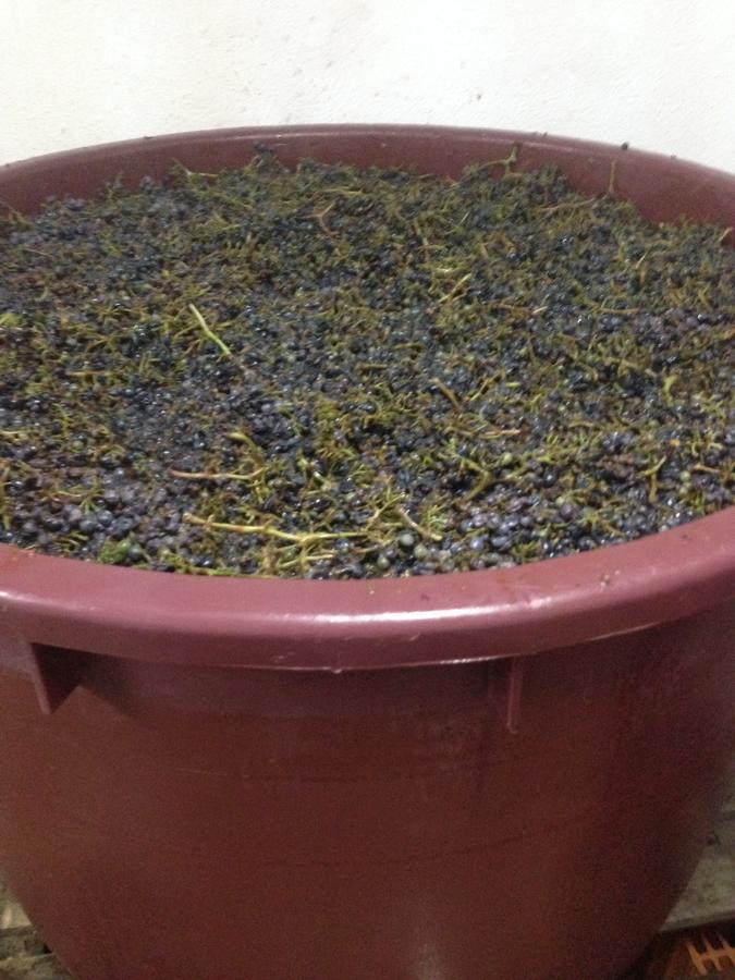Apartmani Marijana 罗佐瓦克 外观 照片